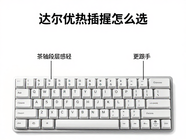 达尔优热插拔键盘怎么选?茶轴段落感轻,兼容性强更跟手