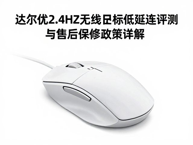 达尔优2.4GHz无线鼠标低延迟评测与售后保修政策详解