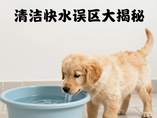 金毛产地哪好？幼犬精神状态差？清洁饮水误区大揭秘