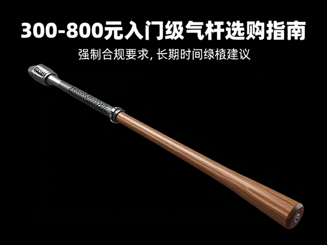 游戏主播推荐,300-800元入门级气杆选购指南