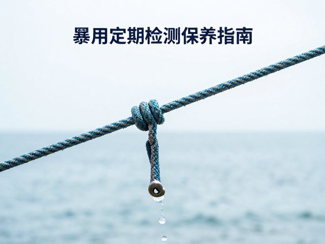 主绳与辅绳的定期外观检测流程