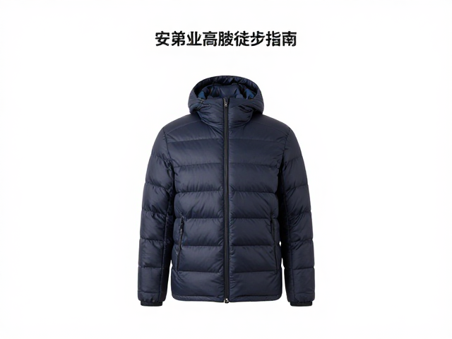 版型设计与活动灵活性的平衡