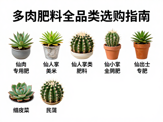 仙人掌类专用肥的养分特性