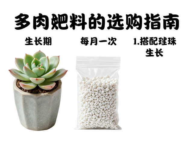 多肉肥料选购指南，生长期每月一次，搭配珍珠岩促生长