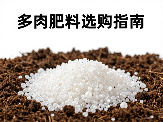 珍珠岩在土壤改良中的关键作用