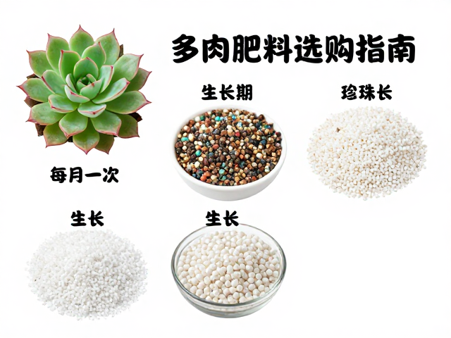 肥料与珍珠岩的搭配种植法
