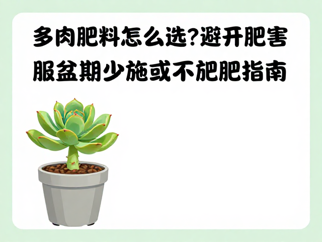 观察植株状态以判断施肥必要性