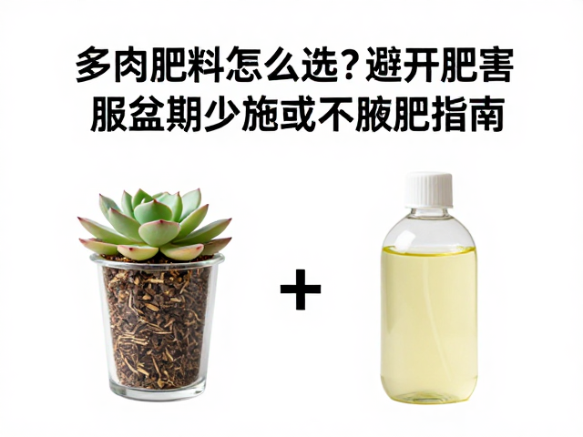 缓释肥与液肥的选择逻辑与应用场景