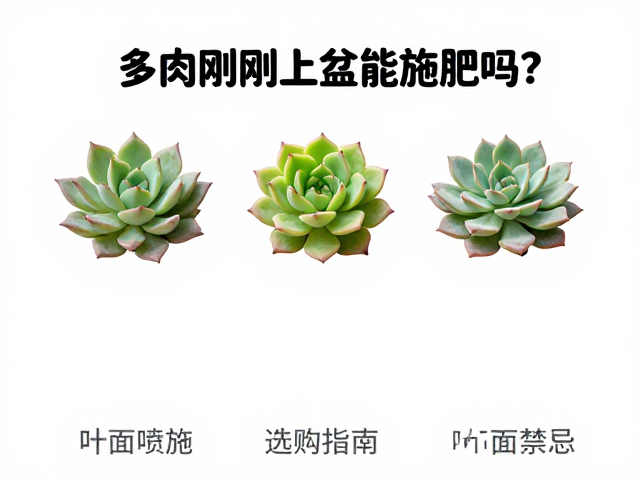 环境因子对施肥效果的决定性影响