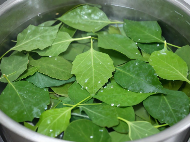 绿叶植物高功效成分的靶向提取路径