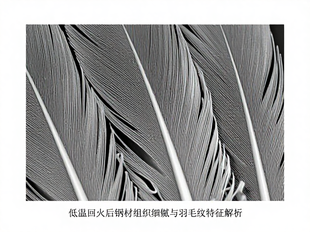 低温回火后钢材组织细化与羽毛纹特征解析