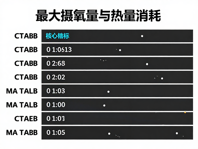 最大摄氧量与热量消耗,赛事数据常识揭秘跑者核心指标