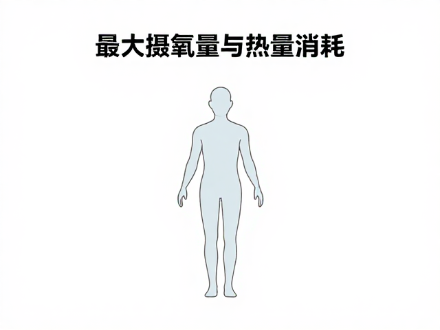 最大摄氧量与热量消耗，赛事数据常识揭秘跑者核心指标