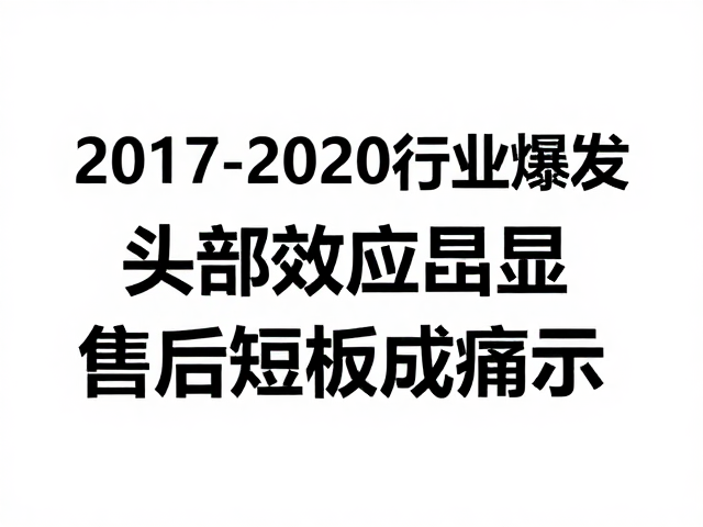 2017-2020行业爆发，头部效应凸显，售后短板成痛点