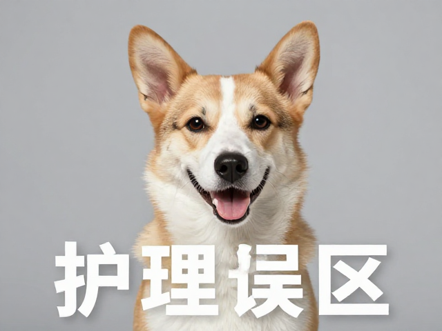 纯种犬易患皮肤病?扇耳动作会加重吗?专家揭秘护理误区