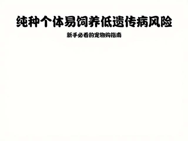 纯种个体易饲养低遗传病风险，新手必看的宠物选购指南