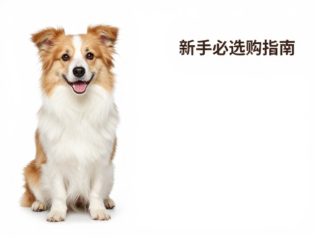 纯种个体易饲养低遗传病风险，新手必看的宠物选购指南