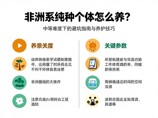 非洲系纯种个体怎么养?中等难度下的避坑指南与养护技巧