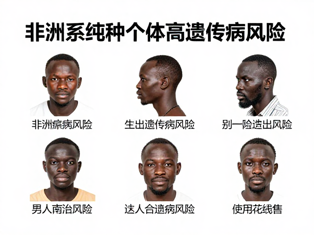 非洲系纯种个体高遗传病风险,健康隐患与选购避坑指南