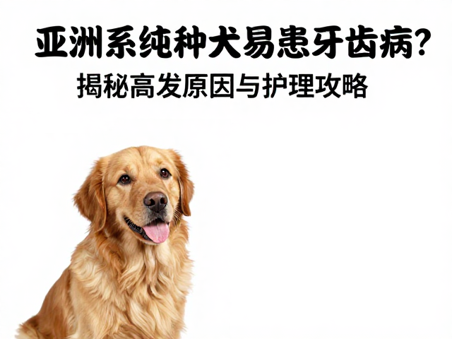 亚洲系纯种犬易患牙齿病?揭秘高发原因与护理攻略