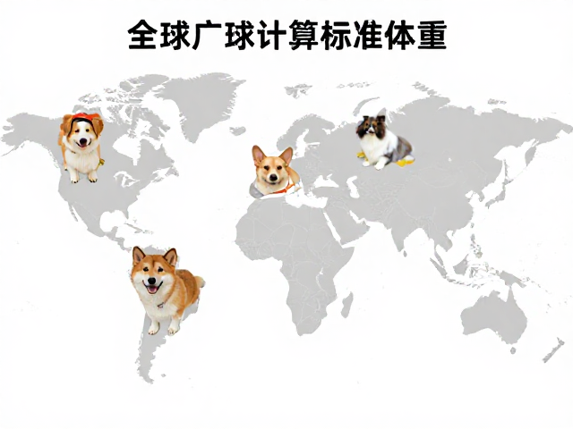 全球广泛分布的活泼好动宠物，如何科学计算标准体重？