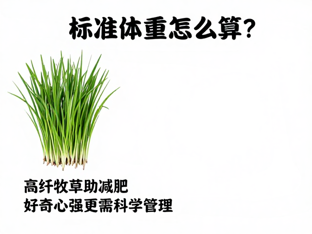 标准体重怎么算？高纤牧草助减肥，好奇心强更需科学管理