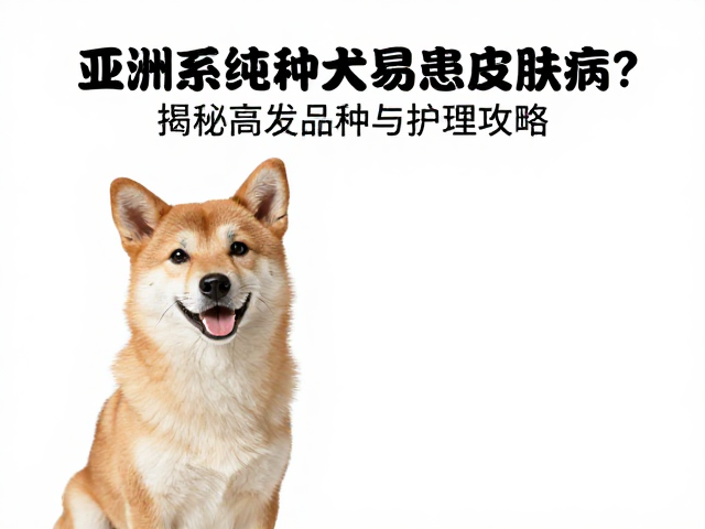亚洲系纯种犬易患皮肤病?揭秘高发品种与护理攻略