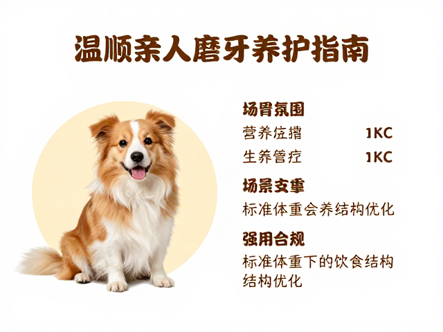温顺亲人磨牙需求大？标准体重下的宠物健康养护指南