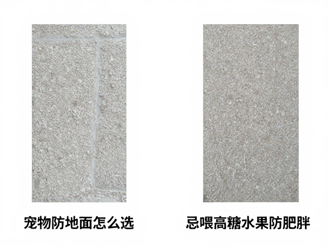 标准体重下,宠物防滑地面怎么选?忌喂高糖水果防肥胖