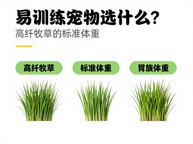 易训练宠物选什么？高纤牧草助控标准体重，健康喂养指南