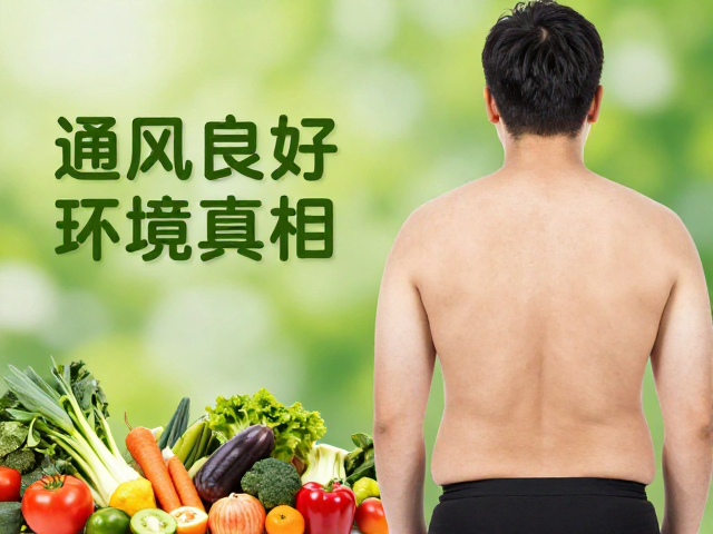 通风良好，少量蔬果，标准体重背后的健康饮食与环境真相