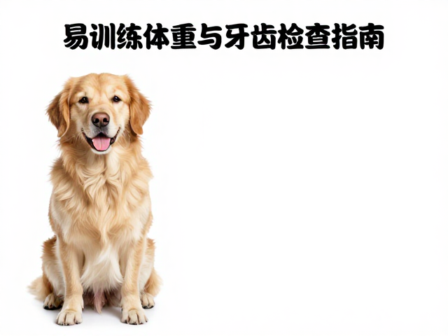 易训练狗狗标准体重与牙齿检查指南