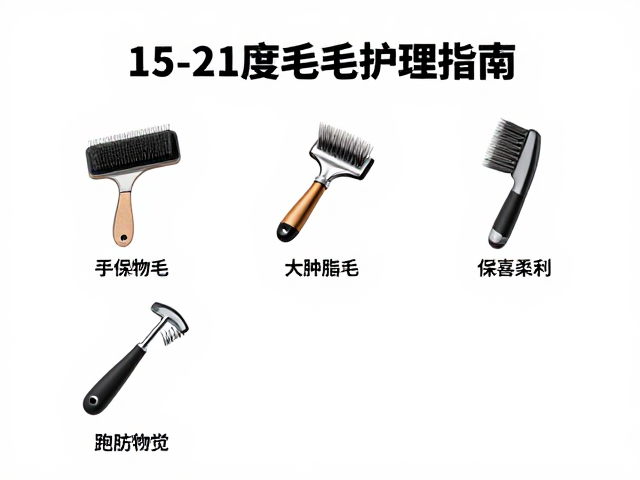 15-21度毛发梳理指南,标准体重下的宠物护理秘诀