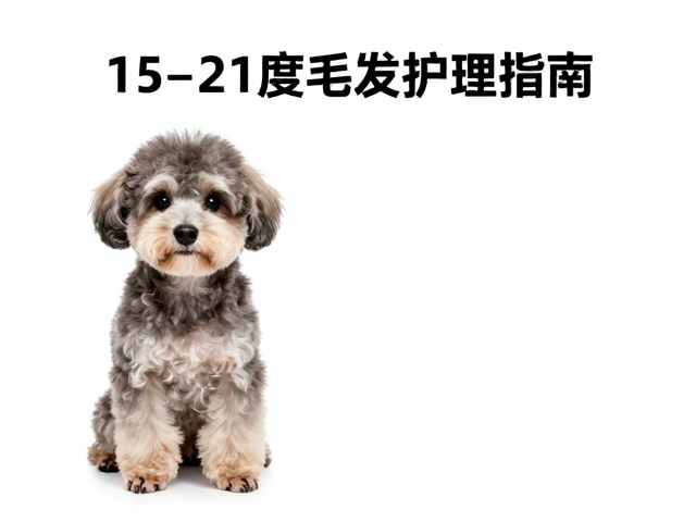 15-21度毛发梳理指南,标准体重下的宠物护理秘诀