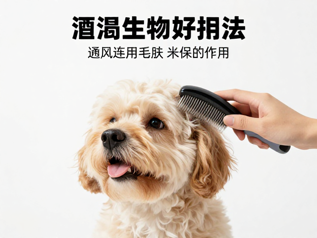 标准体重下的毛发梳理，通风良好环境下的宠物护理指南