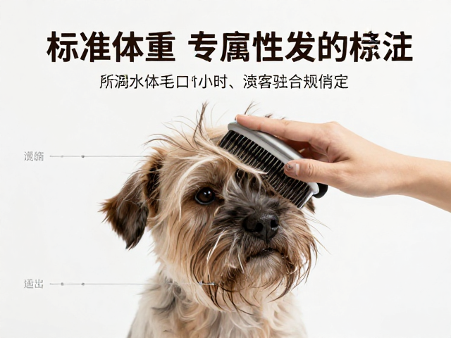 标准体重下的毛发梳理，通风良好环境下的宠物护理指南