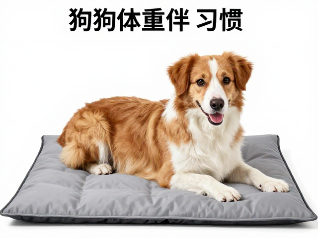 狗狗标准体重计算与防滑地面选购,满足磨牙需求选对宠物垫