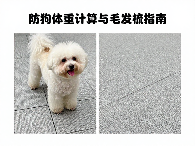 狗狗标准体重计算与毛发梳理指南,防滑地面打造安全居家环境