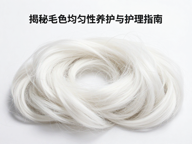 纯白色宠物毛发干燥发白?揭秘毛色均匀性养护与护理指南