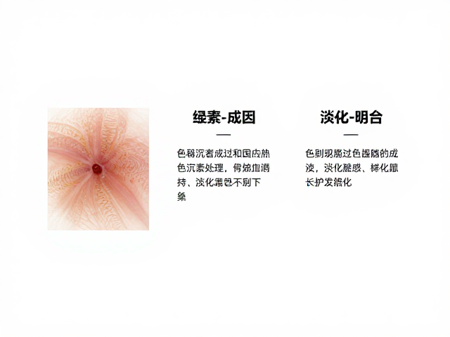 纯白色与稀释色下的色素沉着,成因、淡化与科学护理指南