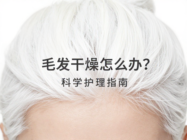 纯白色毛发干燥怎么办?检查花纹对称性,科学护理指南