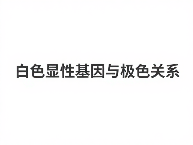 纯白色显性基因与灰色的关系,揭秘遗传逻辑与视觉对比