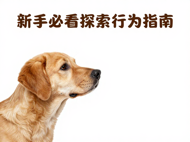 狗狗好奇心爆棚？亲人又爱嗅闻，新手必看的探索行为指南
