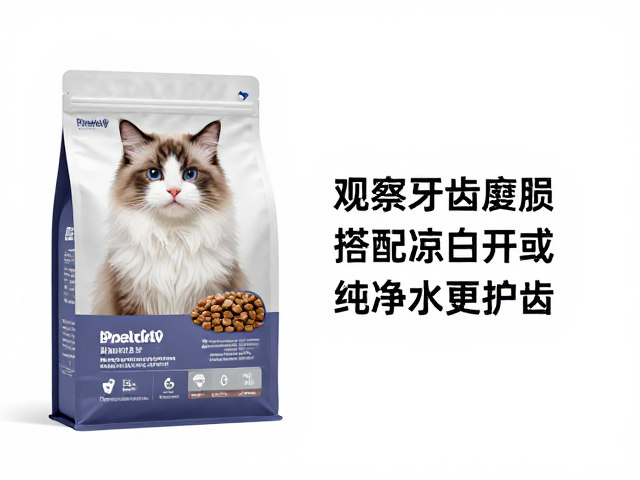 猫咪主粮怎么选?观察牙齿磨损,搭配凉白开或纯净水更护齿