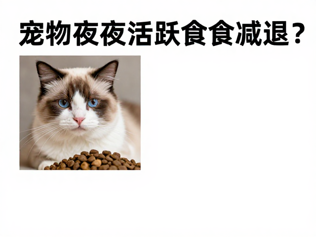 宠物夜间活跃食欲减退?揭秘主粮选择与健康隐患