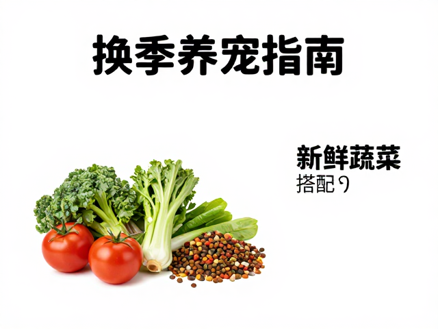 换季养宠指南，主粮选择与新鲜蔬菜夹的搭配技巧