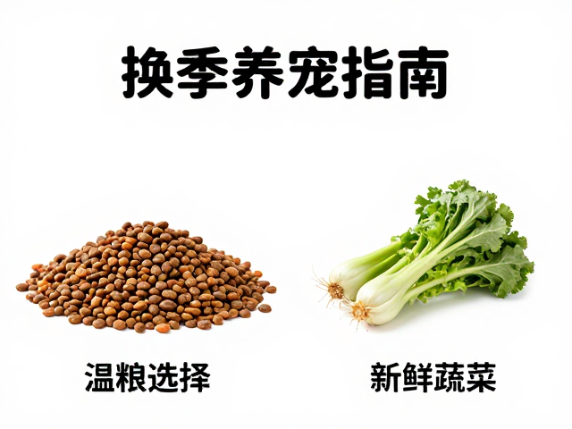 换季养宠指南，主粮选择与新鲜蔬菜夹的搭配技巧