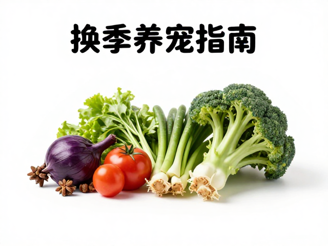 换季养宠指南，主粮选择与新鲜蔬菜夹的搭配技巧