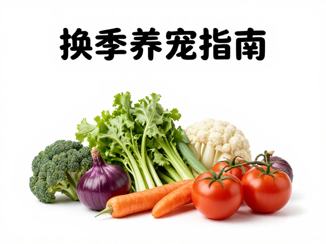 换季养宠指南,主粮选择与新鲜蔬菜夹的搭配技巧