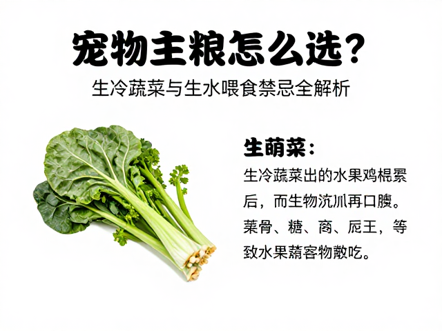 宠物主粮怎么选？生冷蔬菜与生水喂食禁忌全解析
